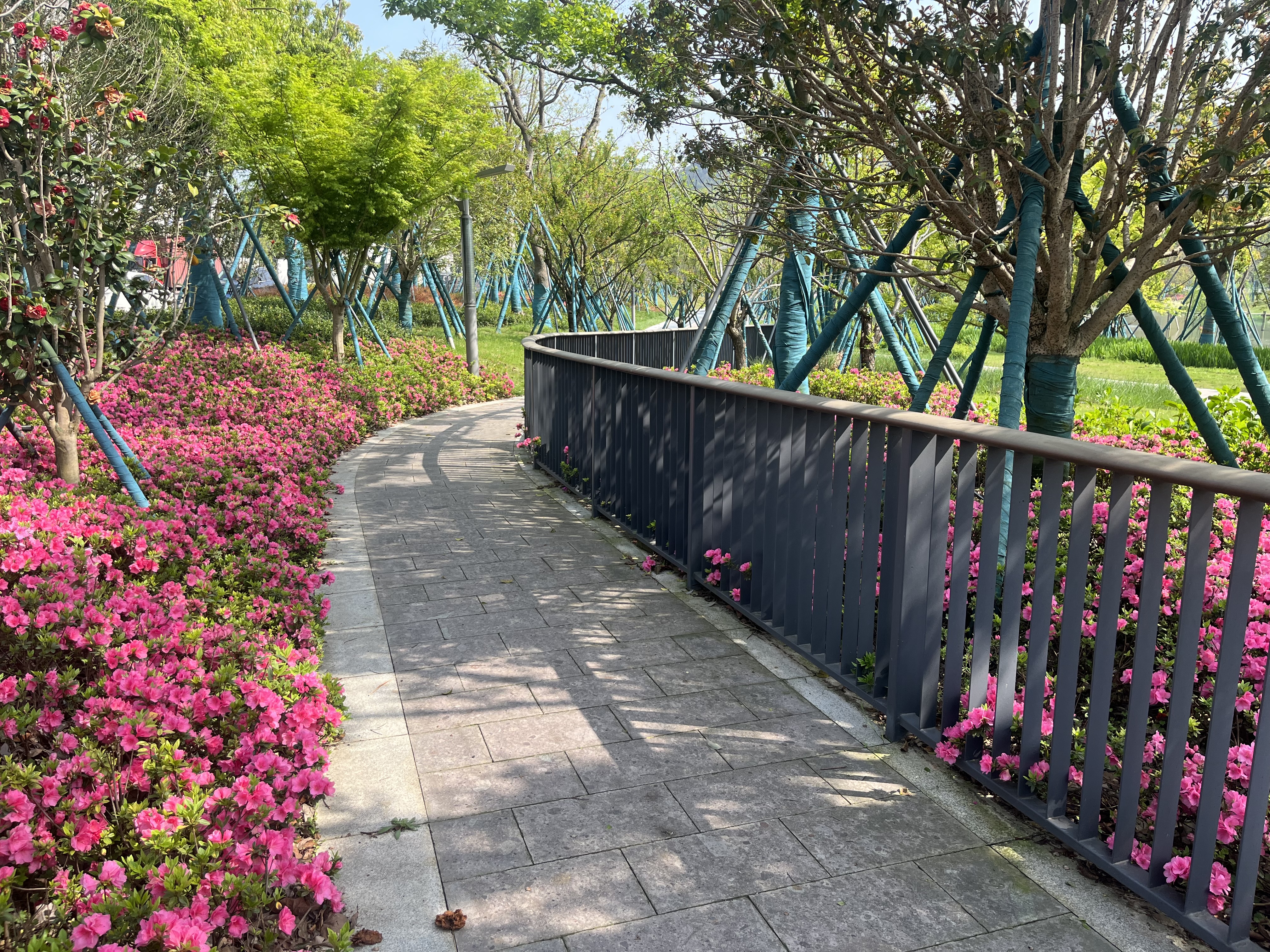 線性流暢的坡道入口.jpg