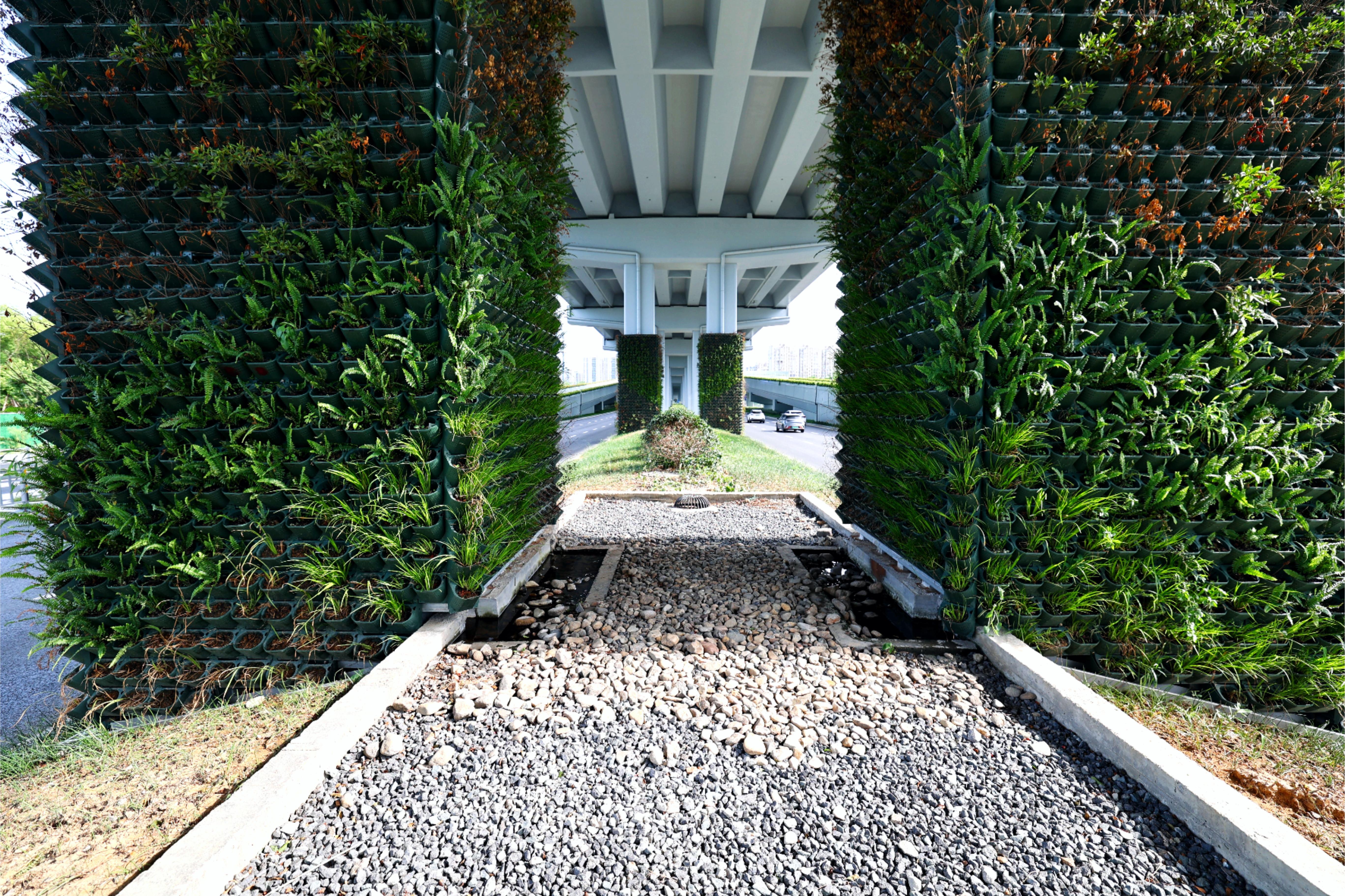 垂直綠化為城市增添了豐富的綠色層次，使冷硬的鋼筋水泥叢林煥發(fā)出五彩繽紛的生命氣息。它不僅美化了城市景觀，還提升了城市的生態(tài)品質(zhì).JPG